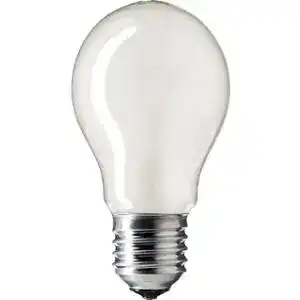 Лампа розжарювання Philips E27 60W 230V A55 FR