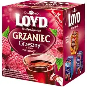 Чай Loyd фруктово-трав'яний зі смаком малини 10 х 3 г